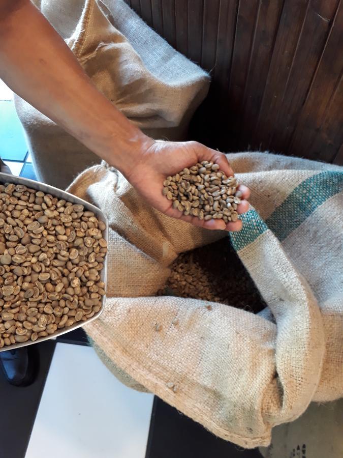 科尔斯伯格 灯塔招待所酒店 外观 照片